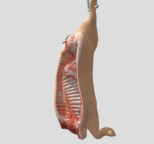 Hanging Pig Carcass preview image